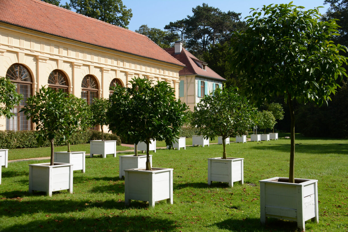 Haus der Fürstin Gartenreich DessauWörlitz