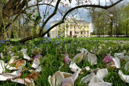 Wörlitzer Park, Schloss