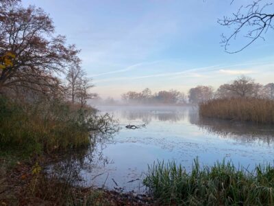 Park Großkühnau, Kühnauer See
