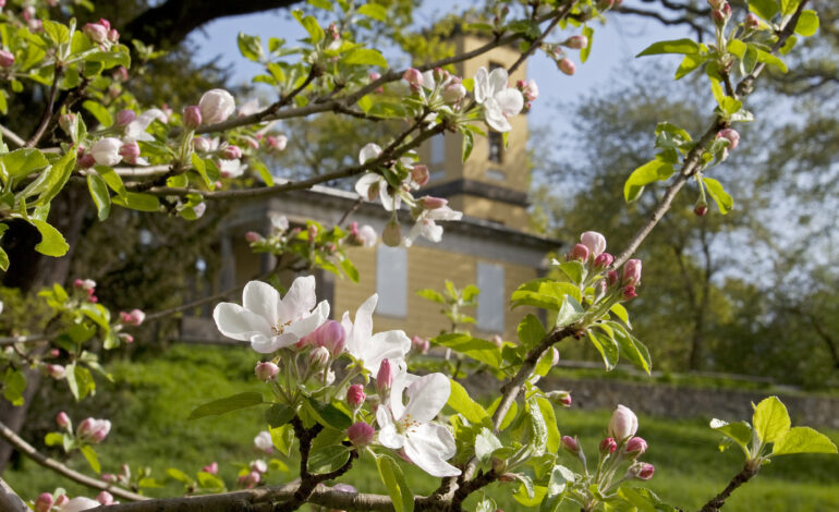 Park Großkühnau, Weinbergschloss