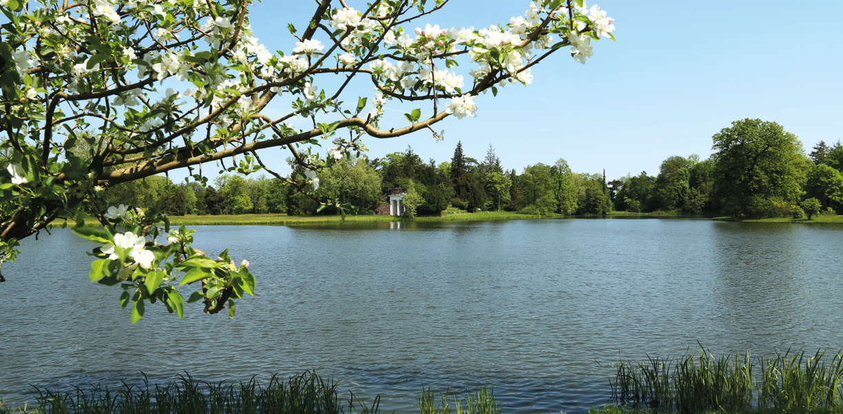 Wörlitzer Park, Muschelnymphe
