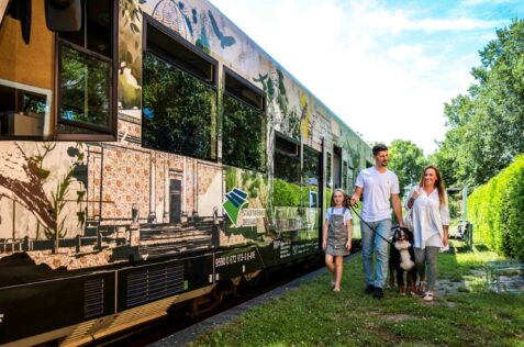 Dessau-Wörlitzer Eisenbahn