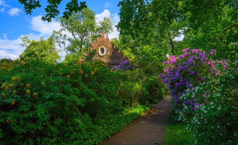 Wörlitzer Park, Rhododendron am Kuhstall