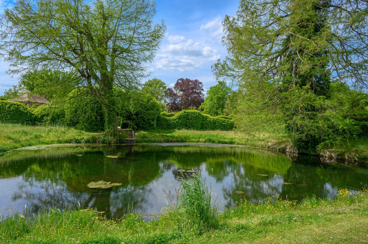 Schloss und Schlosspark Mosigkau