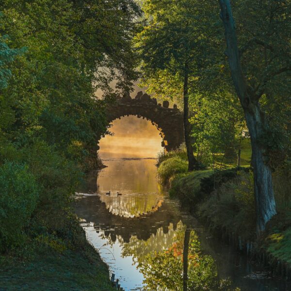 Wörlitzer Park, Hornzackenbrücke