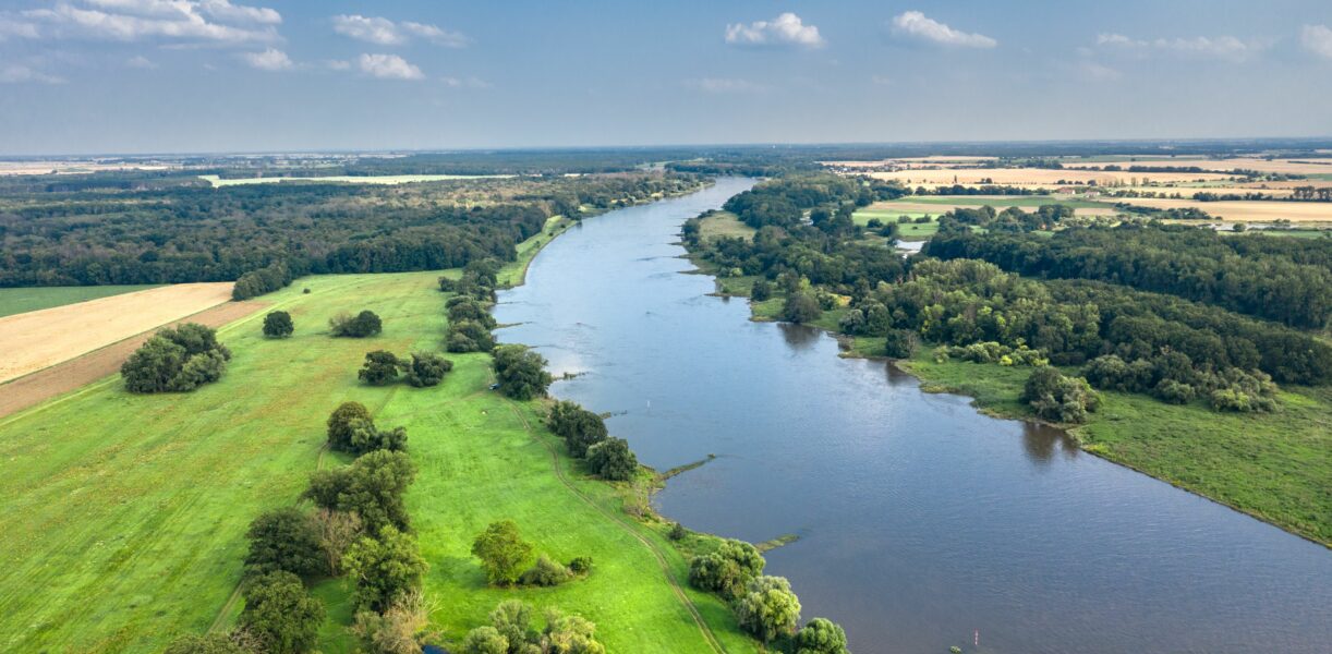 Biosphärenreservat Mittelelbe