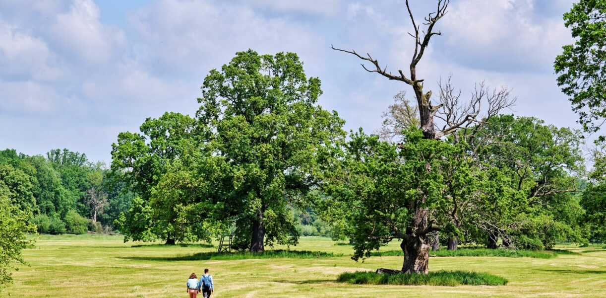 Wandern im Biosphärenreservat Mittelelbe