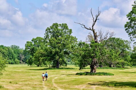 Wandern im Biosphärenreservat Mittelelbe