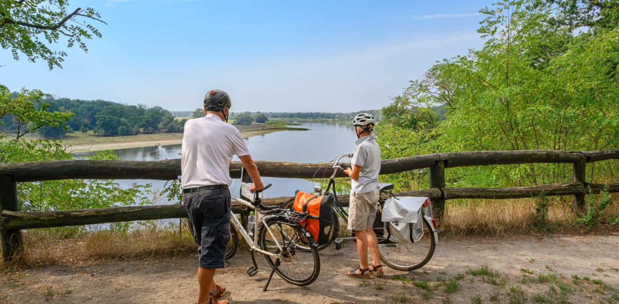 Radfahrer im Biosphärenreservat Mittelelbe