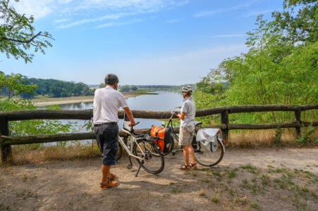 Radfahren im Biosphärenreservat Mittelelbe