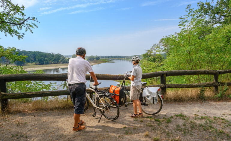 Radfahren im Biosphärenreservat Mittelelbe