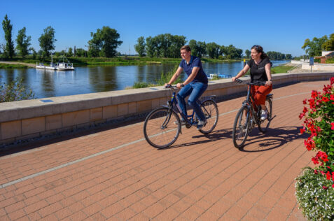 Radfahren auf dem Elberadweg
