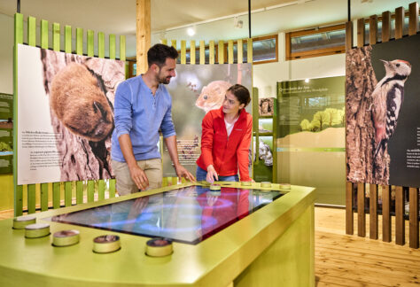 Biosphärenreservat Mittelelbe, Infozentrum Auenhaus