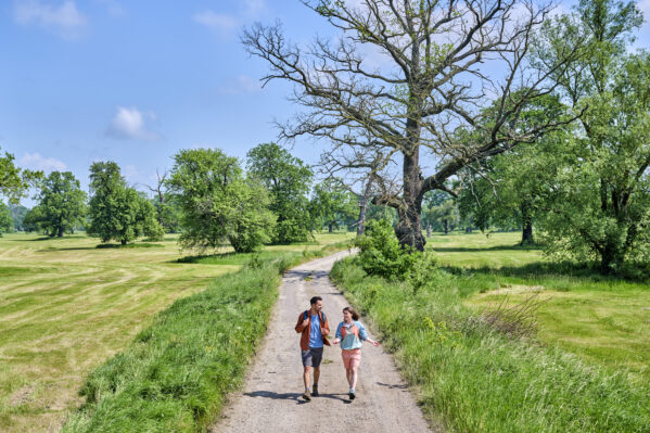 Wandern im Biosphärenreservat Mittelelbe