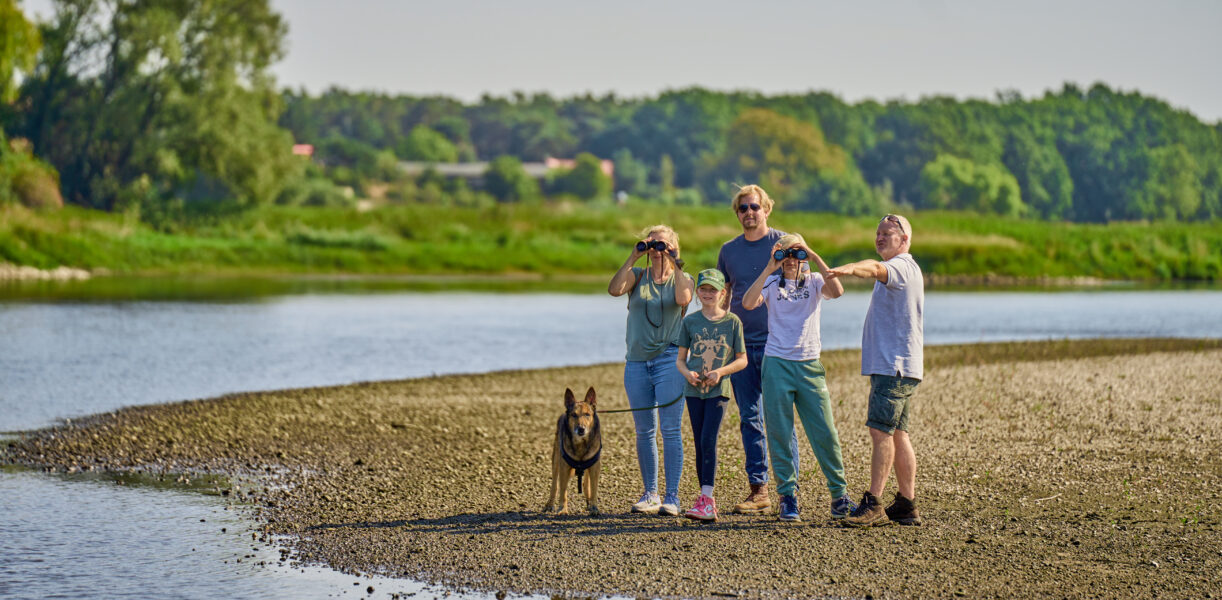 Wandern im Biosphärenreservat Mittelelbe