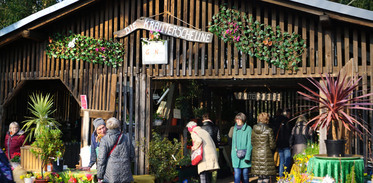 DSC01699_neu ©WEZ gGmbH Frühlingserwachen, Markt