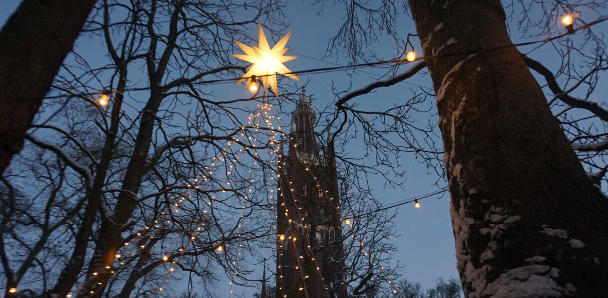 Erster Advent in Wörlitz ©WEZ gGmbH