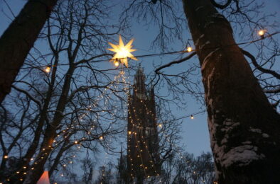 Erster Advent in Wörlitz ©WEZ gGmbH
