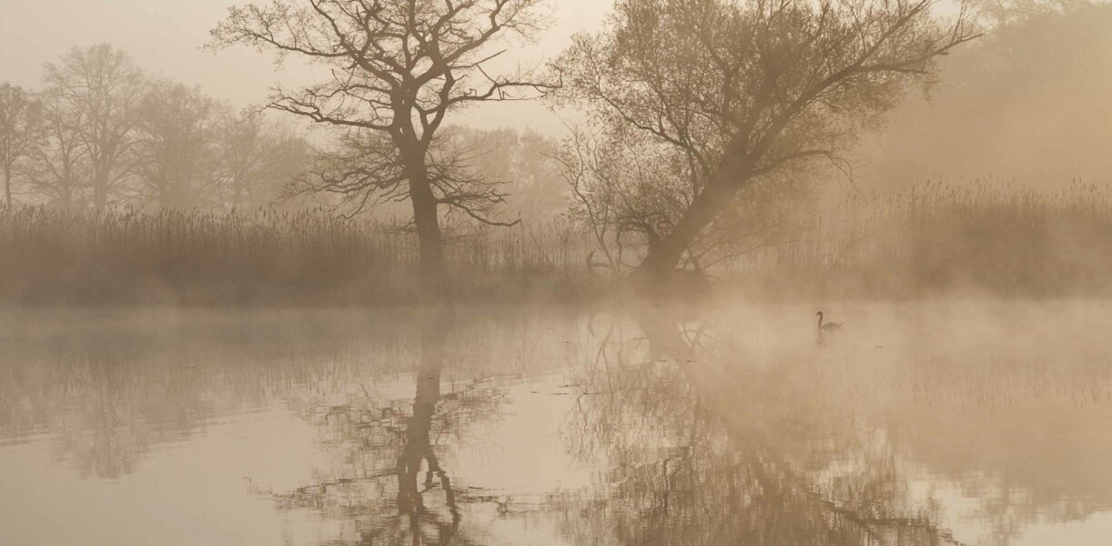 Park Großkühnau ©KsDW, Heinz Fräßdorf