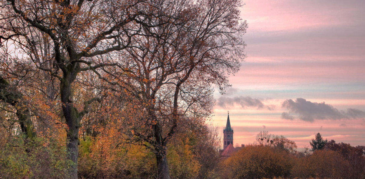 Park Großkühnau ©KsDW, Heinz Fräßdorf