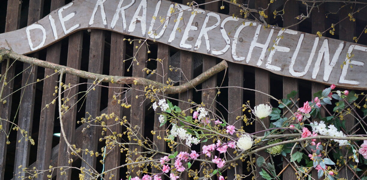 Frühlingserwachen ©WEZ gGmbH