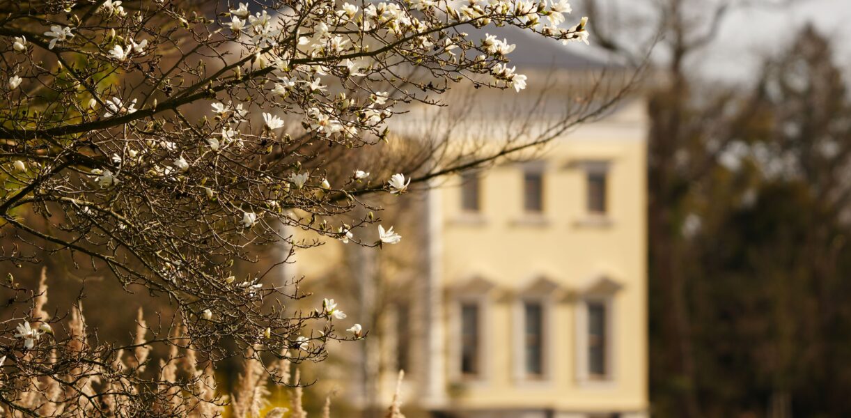 Schloss Wörlitz ©WEZ gGmbH