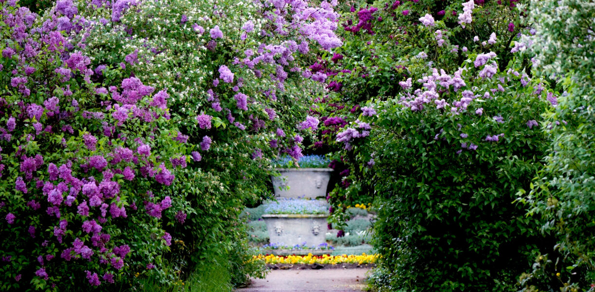 Wörlitzer Park, Floragarten ©WEZ gGmbH