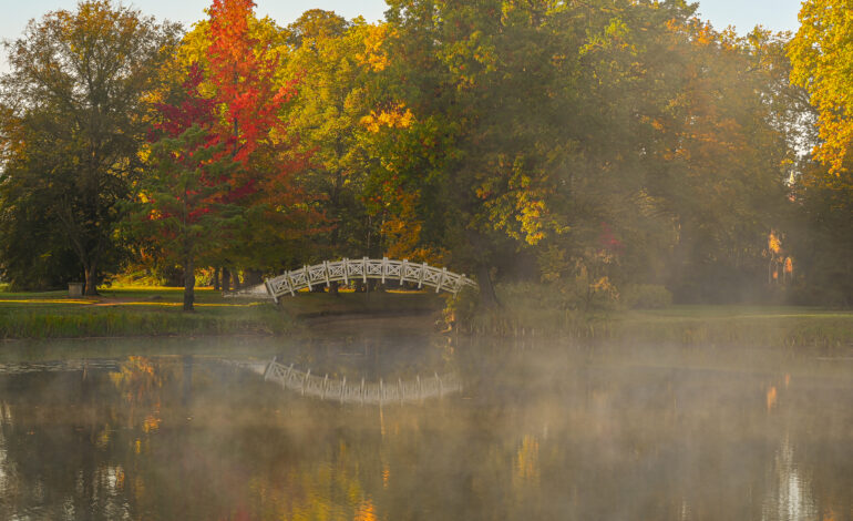 Wörlitzer Park, Weiße Brücke