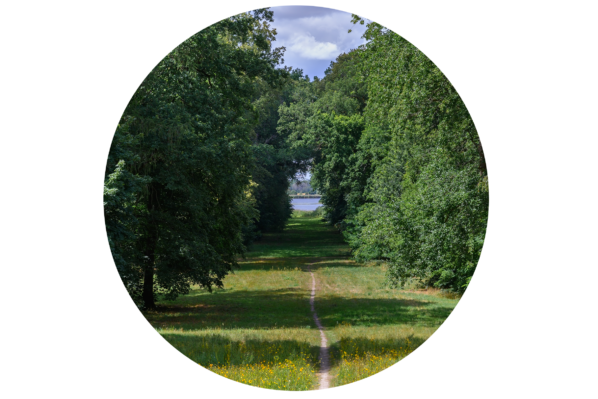 Kühnau ©Uwe Weigel