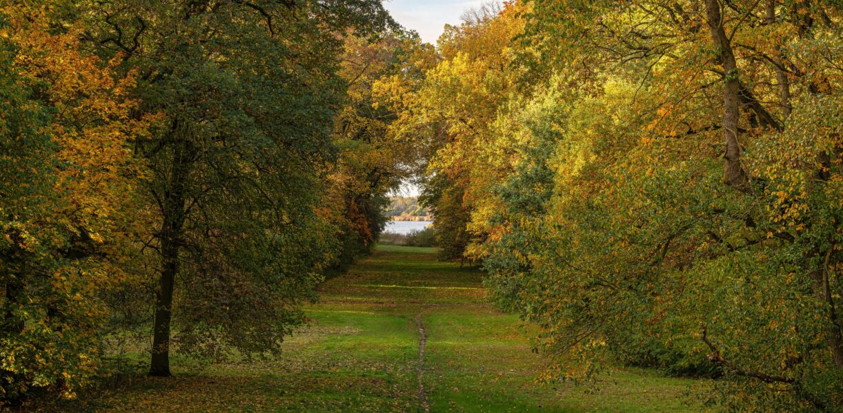 Projektfotos Ersteller Uwe Weigel -0016-Bearbeitet Kopie (1) ©Uwe Weigel